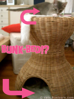 bunk-bed.jpg