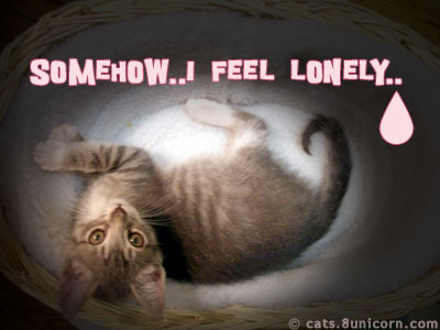 feel_lonely.jpg