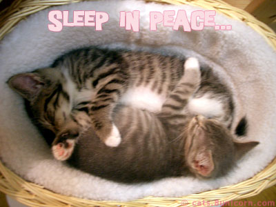 sleep_in_peace.jpg