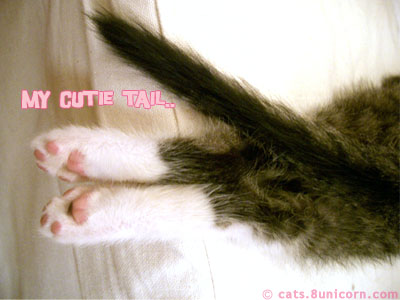 tail.jpg