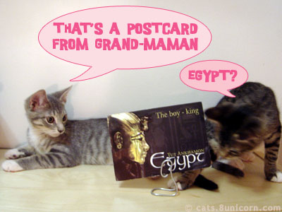 postcard_from_egypt_ash_noa.jpg