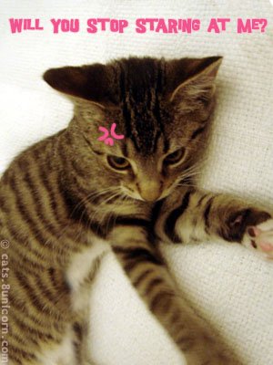 stop_staring_4.jpg