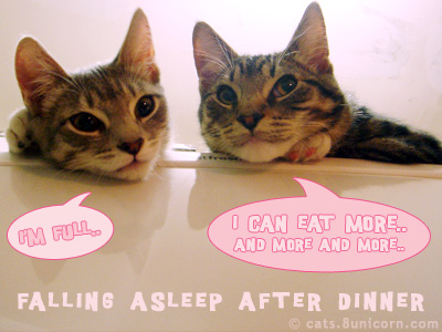 after_dinner.jpg