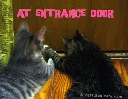 at_entrance_door_01.jpg