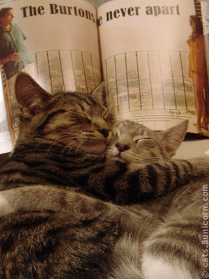 born_together_never_apart.jpg