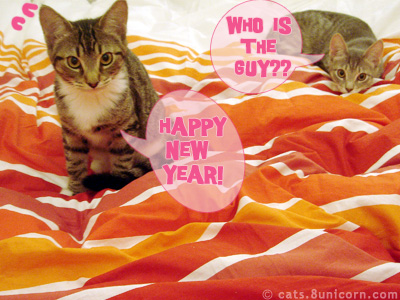 happy_new_year_2007_05.jpg