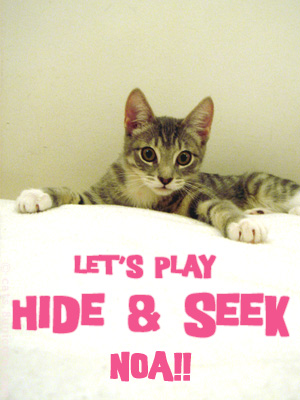 hide_and_seek_ash_01.jpg