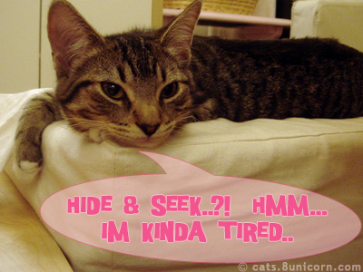 hide_and_seek_noa_01.jpg