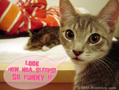 how_noa_sleeps.jpg