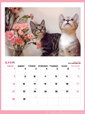 noa_ash_calendar_apr.jpg