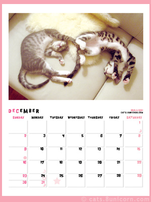 noa_ash_calendar_dec.jpg