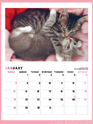 noa_ash_calendar_jan.jpg