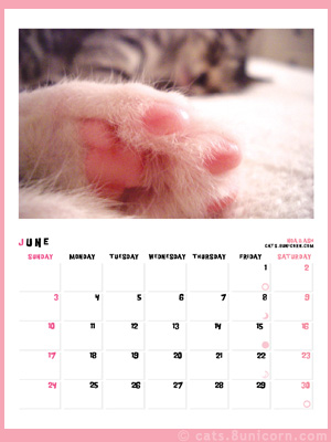noa_ash_calendar_jun.jpg