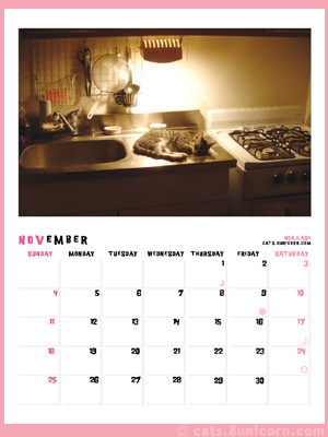 noa_ash_calendar_nov.jpg