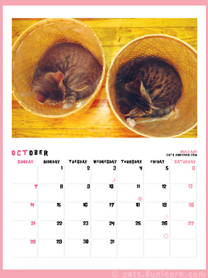 noa_ash_calendar_oct.jpg