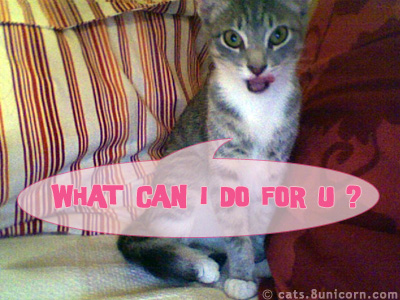 what_can_i_do_for_u_02.jpg