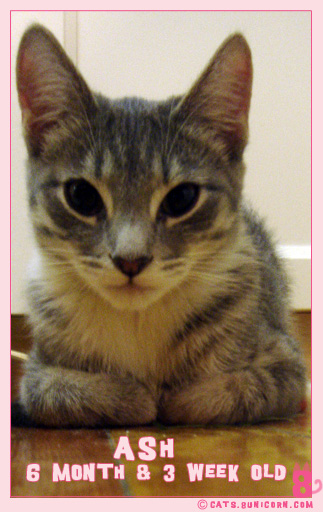 6monthand3weekold-1.jpg