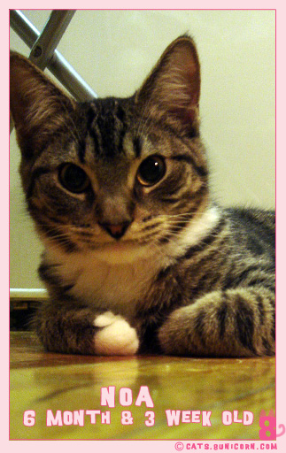 6monthand3weekold-2.jpg