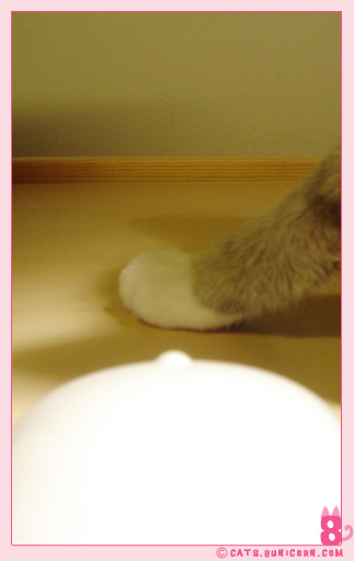 mouse.jpg