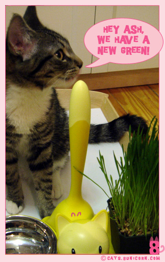 new_green_noa_01.jpg