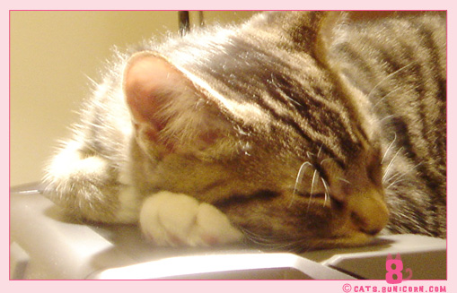 noa_asleep_light.jpg