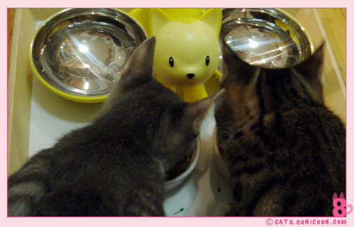 our_dinner-12.jpg