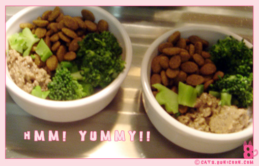 our_dinner-2.jpg