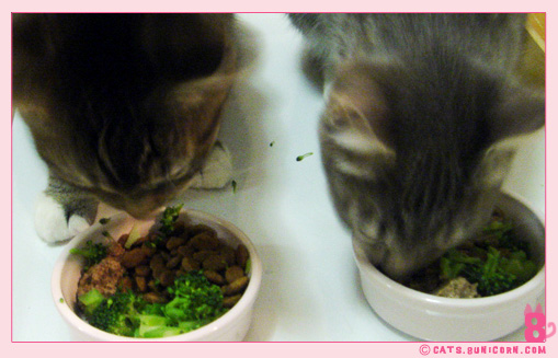 our_dinner-3.jpg