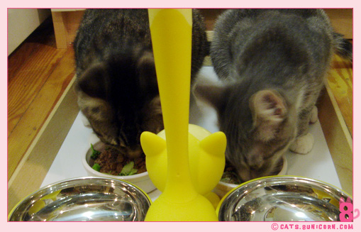 our_dinner-4.jpg