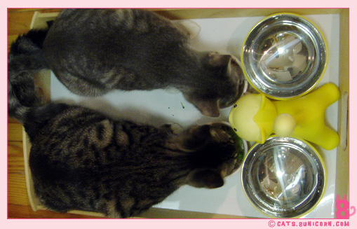 our_dinner-5.jpg