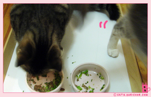 our_dinner-6.jpg
