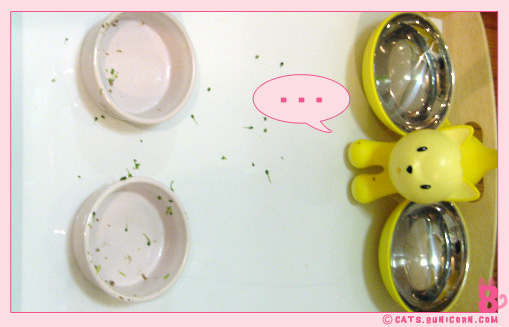 our_dinner-8.jpg