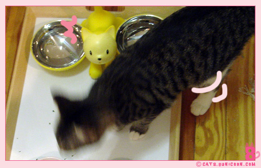 our_dinner-9.jpg