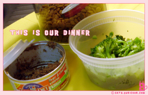 our_dinner_1.jpg