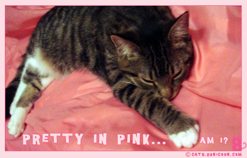 pretty_in_pink.jpg