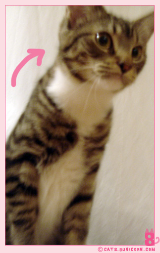 readyto_jump_noa_03.jpg