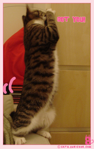 readyto_jumping_noa_04.jpg