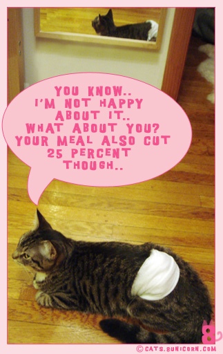 how_is_diet_02.jpg
