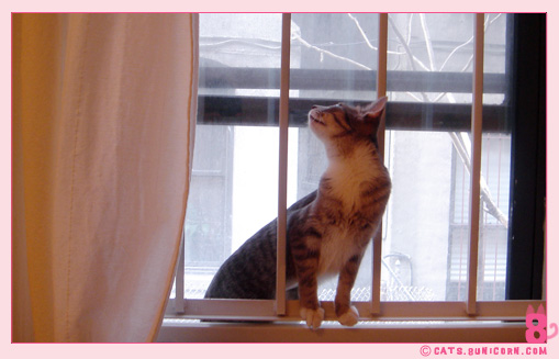 late_march_in_ny_01.jpg