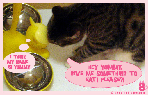 somethingtoeat_01.jpg