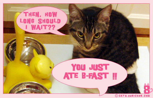somethingtoeat_03.jpg