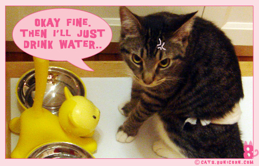 somethingtoeat_04.jpg