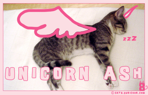 unicorn_ash.jpg