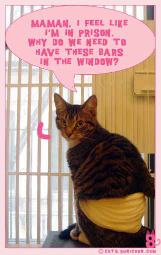 window_gate_noa_02.jpg