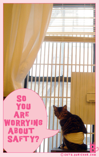 window_gate_noa_03.jpg