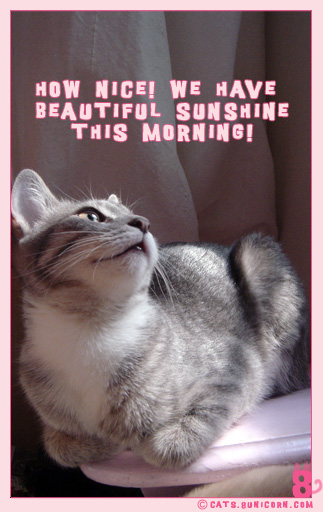 spring_sunshin_01.jpg