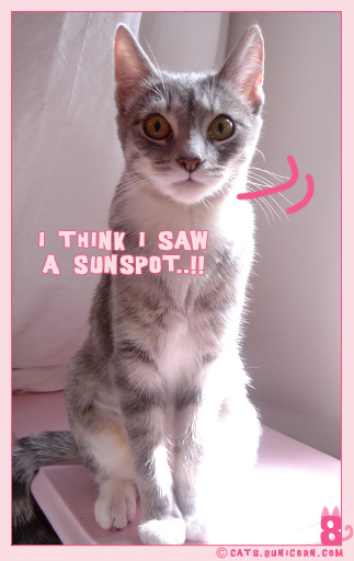 spring_sunshin_05.jpg