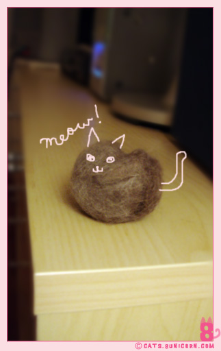 cats_hair_noa_ash_01.jpg