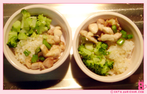 handmade_petfood_1.jpg