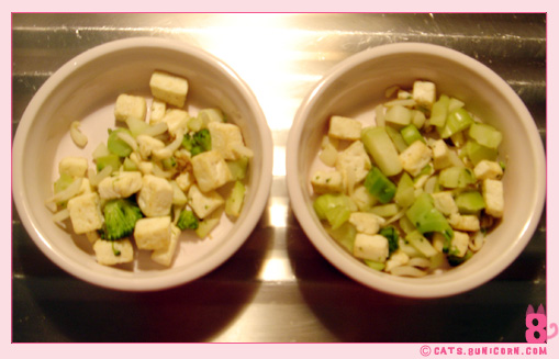 handmade_petfood_2.jpg